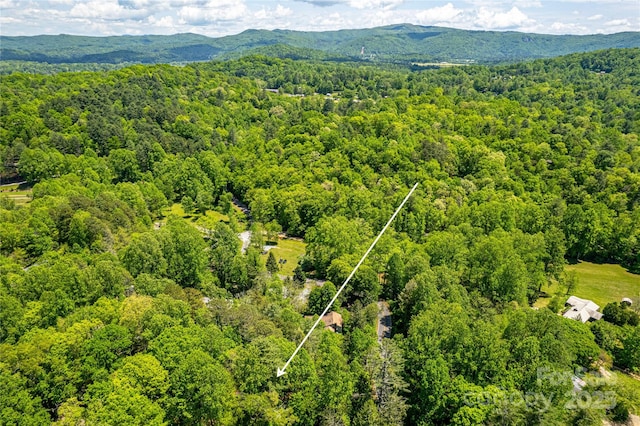 70 Lake Sega Cir, Brevard, NC 28712 - drone / aerial view of a forest and a mountain backdrop