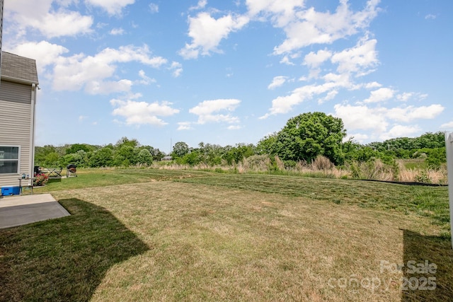 view of yard