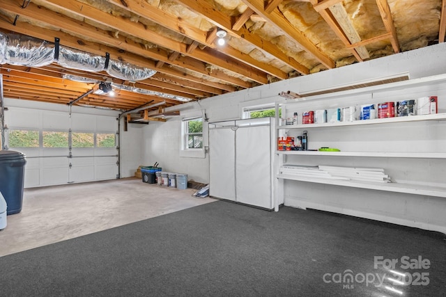 garage with a garage door opener