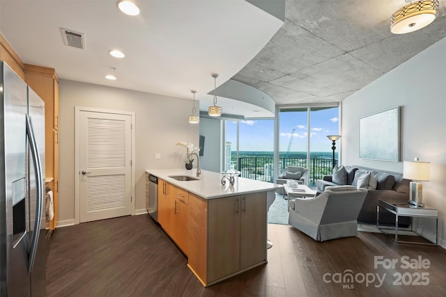 kitchen with appliances with stainless steel finishes, a peninsula, a sink, dark wood-type flooring, and floor to ceiling windows