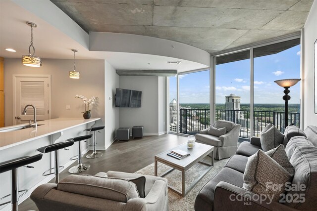 living room with wood finished floors, baseboards, and expansive windows
