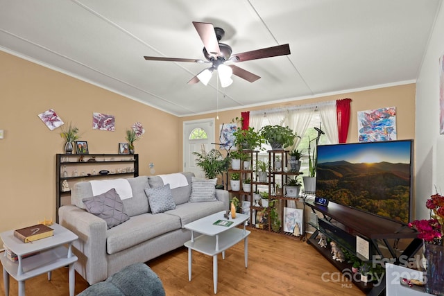 living area with ornamental molding, a ceiling fan, a healthy amount of sunlight, and wood finished floors