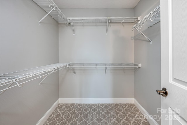 33 Braeburn Way, Flat Rock, NC 28731 - view of spacious closet