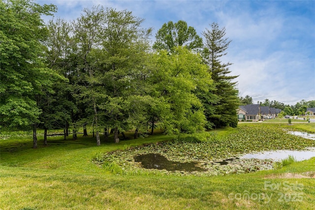 33 Braeburn Way, Flat Rock, NC 28731 - view of yard