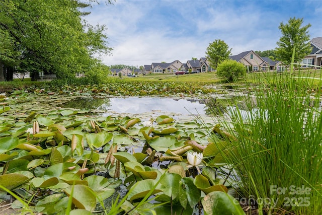 33 Braeburn Way, Flat Rock, NC 28731 - water view with a residential view
