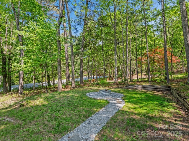 view of grassy yard