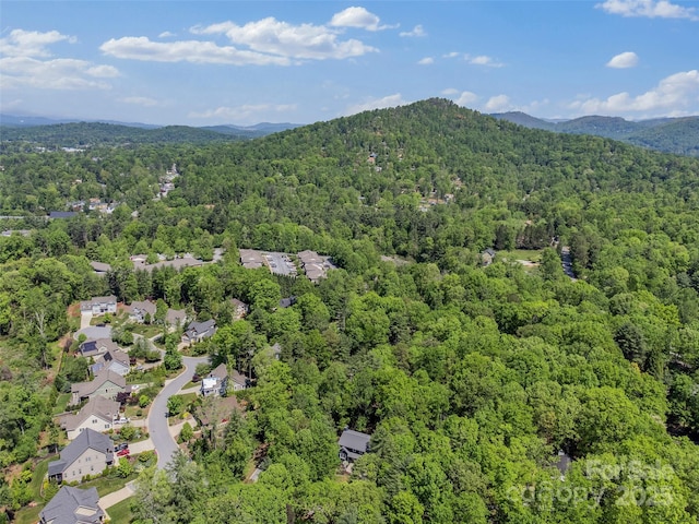 bird's eye view of a heavily wooded area and mountains