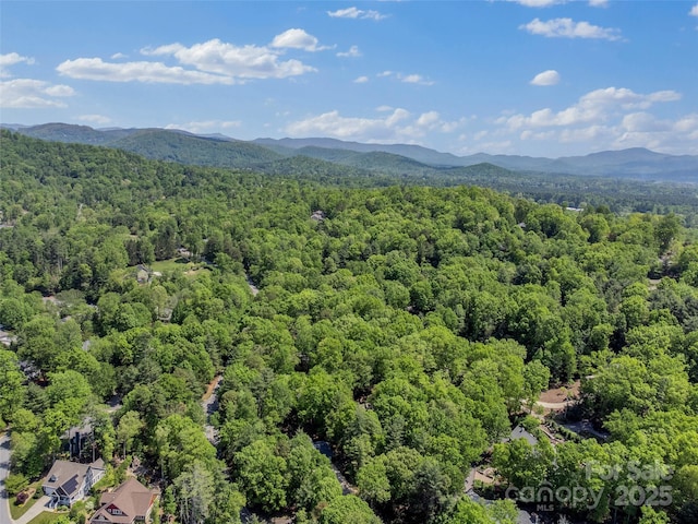 aerial view of a forest and a mountainous background