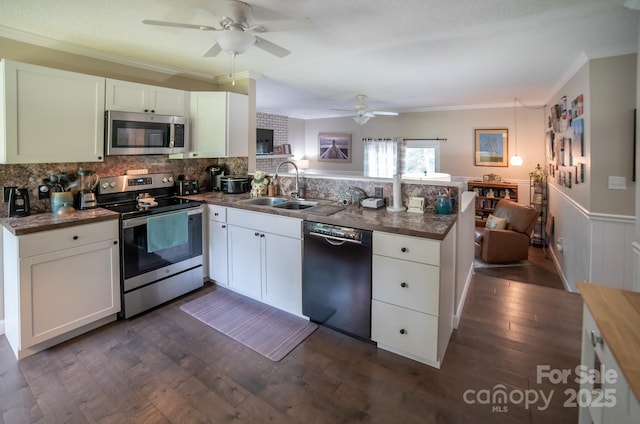 kitchen with a sink, a peninsula, stainless steel appliances, crown molding, and ceiling fan
