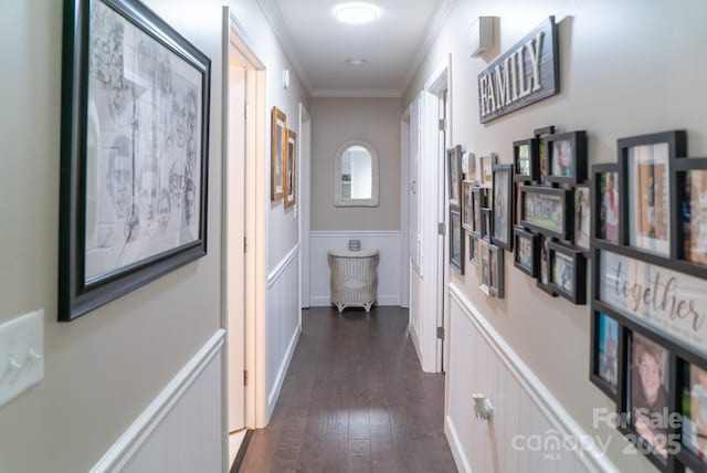 corridor featuring ornamental molding, a decorative wall, a wainscoted wall, and dark wood-type flooring