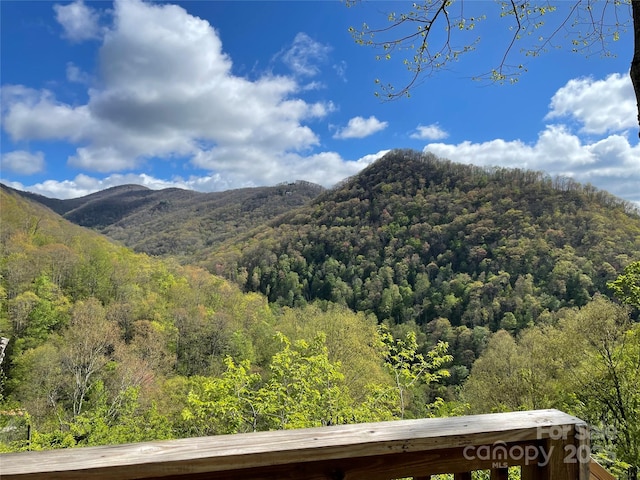 96 Trails End Ln, Maggie Valley, NC 28751 - view of mountain background with a forest