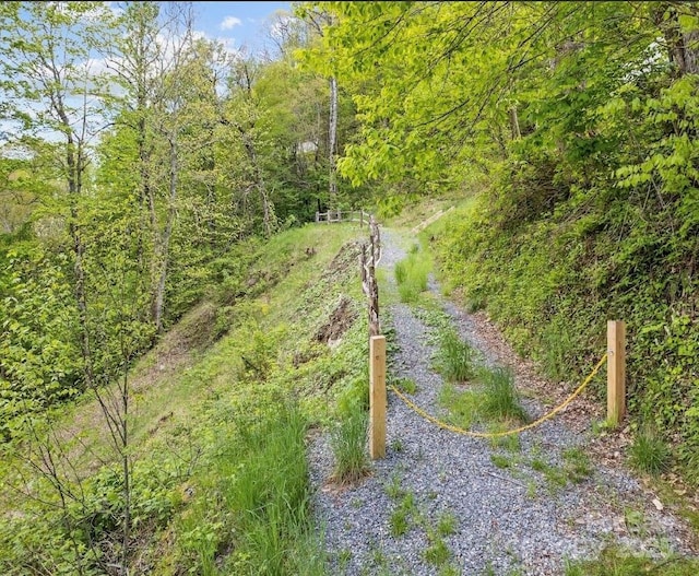 96 Trails End Ln, Maggie Valley, NC 28751 - view of wooded area