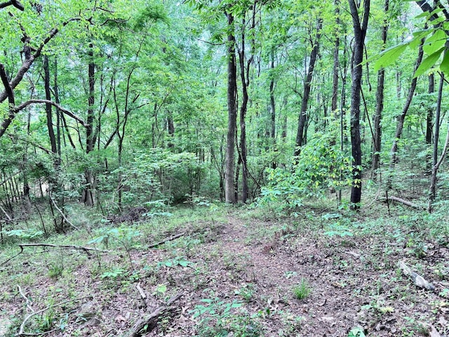 view of landscape featuring a view of trees