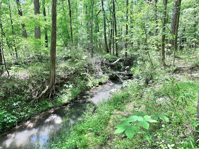 view of landscape with a forest view