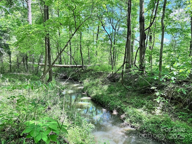 view of local wilderness