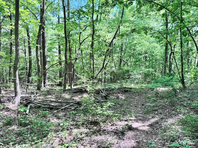 view of nature featuring a forest view