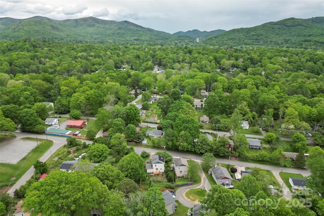 drone / aerial view of mountains and a forest