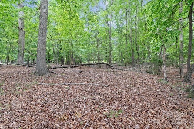 505 Kemp Rd, Mooresville, NC 28117 - photo 30