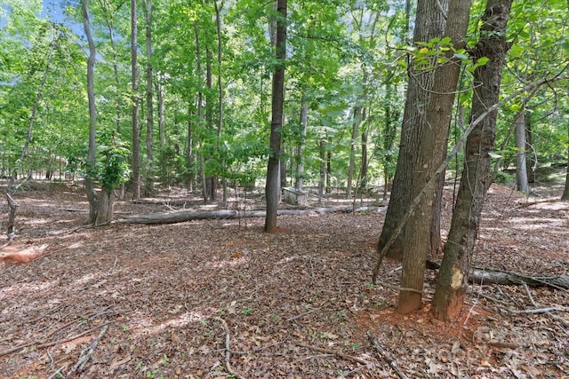 505 Kemp Rd, Mooresville, NC 28117 - photo 32