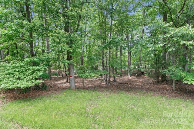 505 Kemp Rd, Mooresville, NC 28117 - photo 33