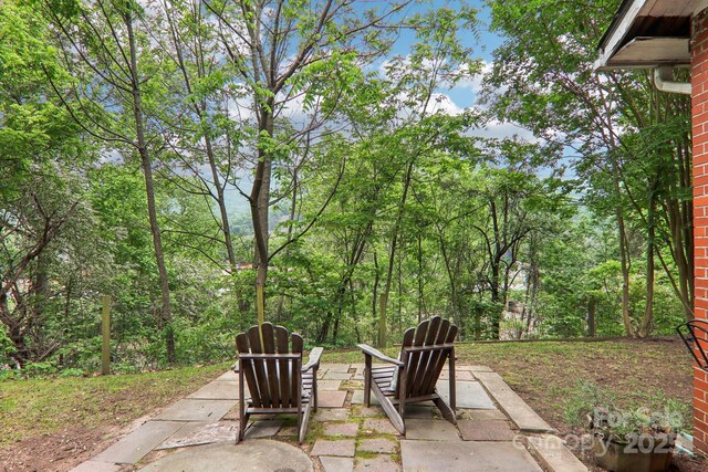 108 Patton Hill Rd, Swannanoa, NC 28778 - view of patio