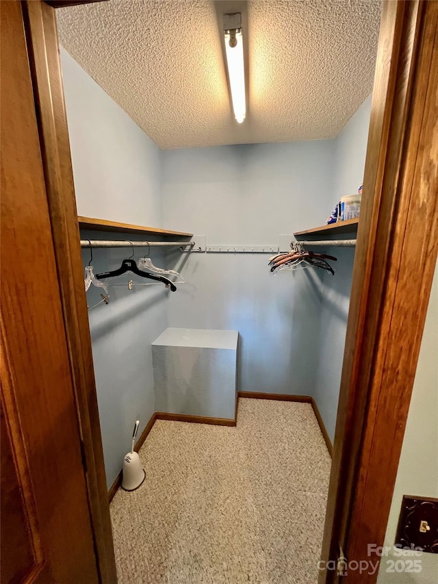 spacious closet with carpet flooring
