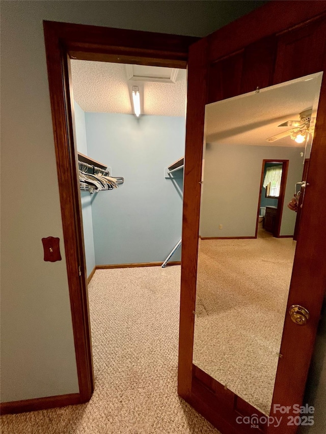 spacious closet with carpet, attic access, and ceiling fan