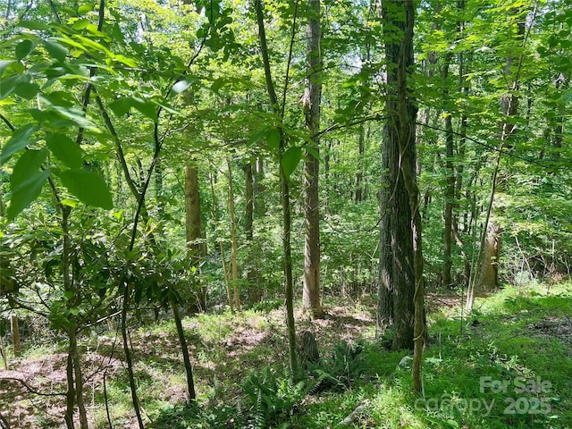 101 Chattooga Run Unit 181, Hendersonville, NC 28739