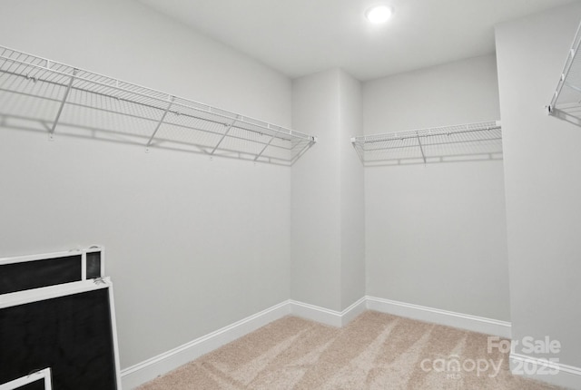 5103 Heathland Dr Unit 50, Charlotte, NC 28215 - photo 32