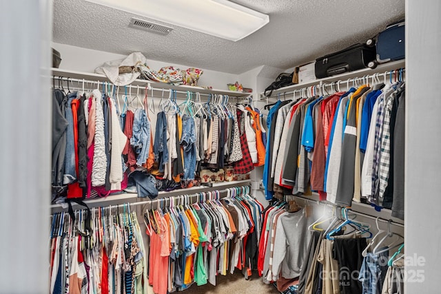 104 Belvedere Dr, Morganton, NC 28655 - walk in closet with carpet flooring
