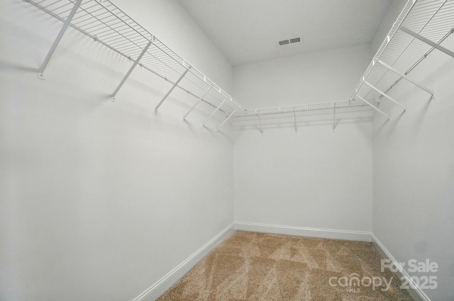 walk in closet with light carpet