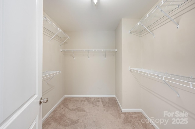 4324 Falls Lake Dr SW, Concord, NC 28025 - spacious closet with light colored carpet
