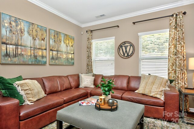 14837 Dungannon Ct, Charlotte, NC 28278 - living area featuring crown molding and healthy amount of natural light