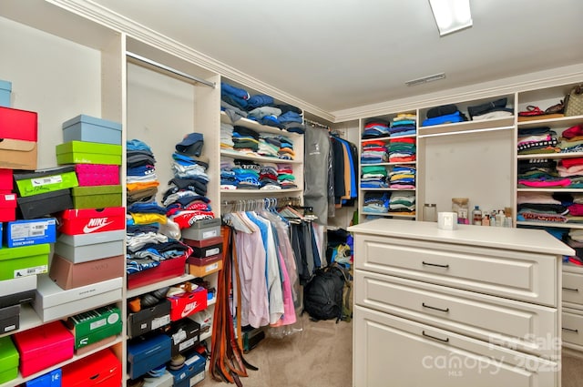 14837 Dungannon Ct, Charlotte, NC 28278 - spacious closet with light colored carpet