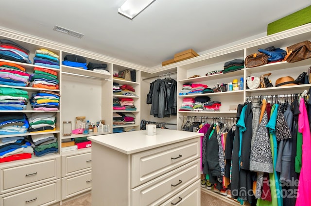 14837 Dungannon Ct, Charlotte, NC 28278 - view of spacious closet