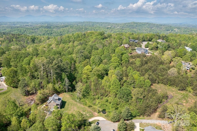 11 Spicebush Ln, Weaverville, NC 28787