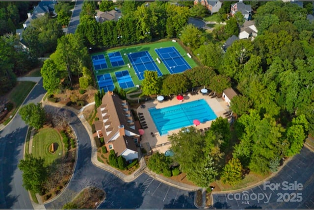bird's eye view