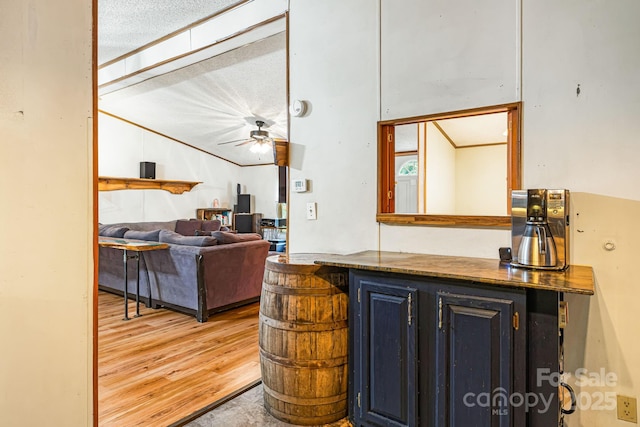 15 Robin Ln, Asheville, NC 28806 - kitchen featuring lofted ceiling, ceiling fan, and light wood-type flooring