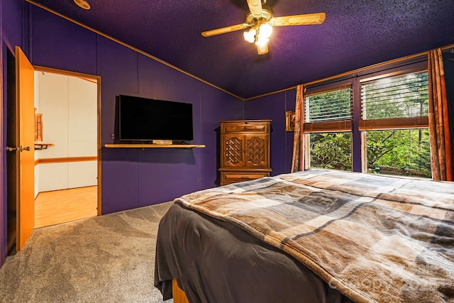 15 Robin Ln, Asheville, NC 28806 - bedroom with vaulted ceiling, a textured ceiling, and ceiling fan