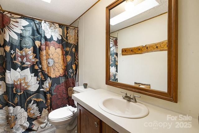 15 Robin Ln, Asheville, NC 28806 - bathroom with a textured ceiling, vanity, toilet, and a shower with curtain