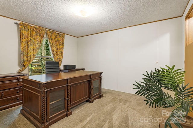 15 Robin Ln, Asheville, NC 28806 - office area with carpet floors, a textured ceiling, and ornamental molding