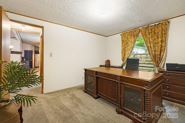 15 Robin Ln, Asheville, NC 28806 - home office featuring a textured ceiling, carpet, and crown molding