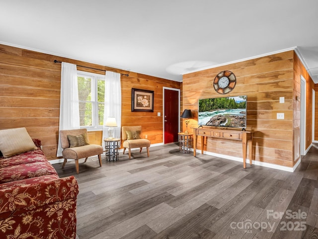 21 Stoney Nob Dr, Hendersonville, NC 28792 - photo 22