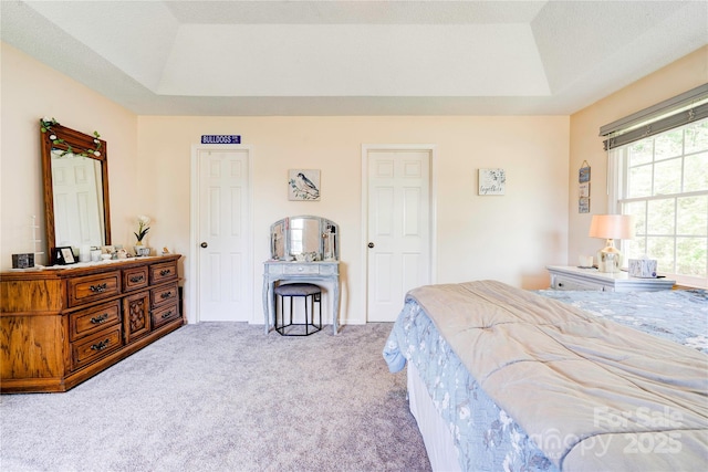bedroom with a raised ceiling and carpet