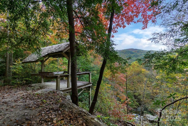 exterior space featuring a forest view and a mountain view