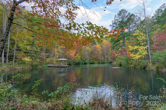 water view with a forest and a gazebo