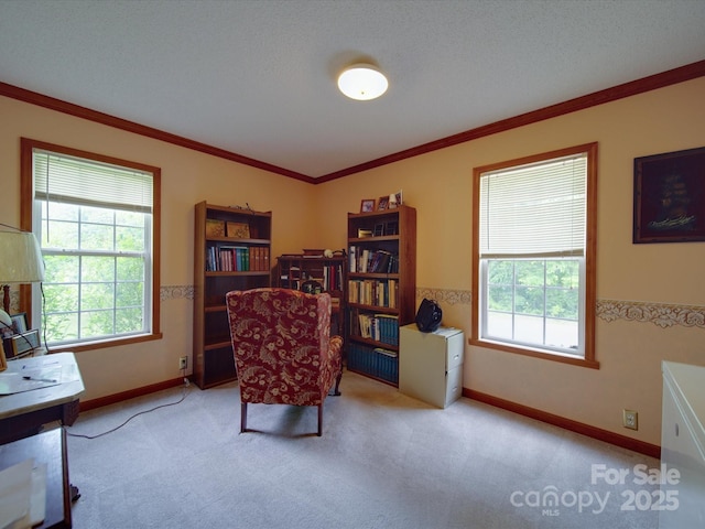 sitting room featuring carpet, ornamental molding, and plenty of natural light