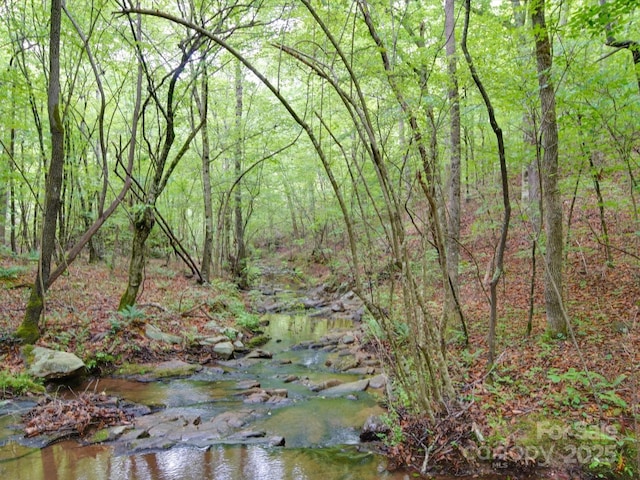 view of local wilderness with a forest view