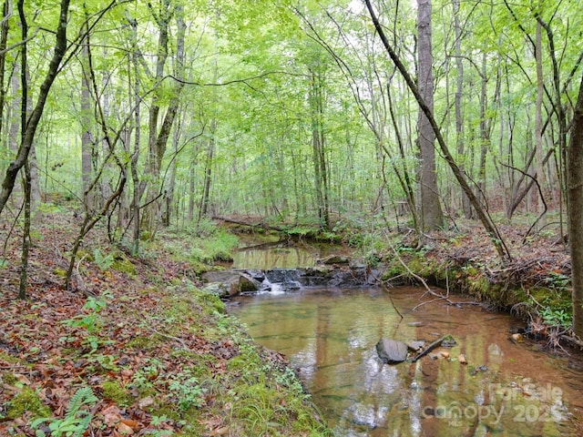view of nature with a view of trees