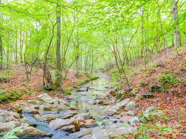 view of landscape with a forest view